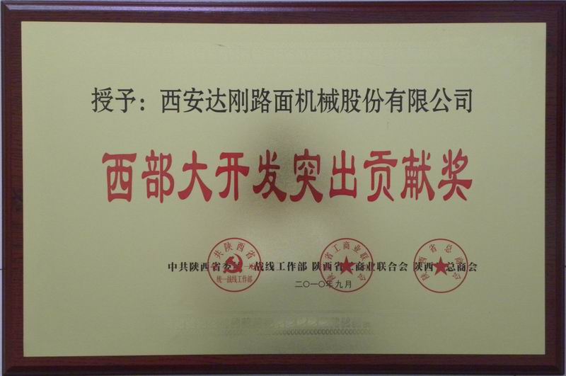 西部大开发突出贡献奖